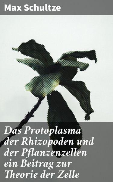 Produktbild: Das Protoplasma der Rhizopoden und der Pflanzenzellen ein Beitrag zur Theorie der Zelle