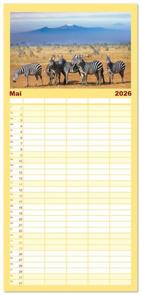 Produktbild: Familienplaner 2026 - Zebras - Die gestreiften Vierbeiner. mit 5 Spalten (Wandkalender, 21 x 45 cm) CALVENDO
