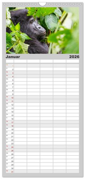 Produktbild: Familienplaner 2026 - Gorillas ohne Nebel mit 5 Spalten (Wandkalender, 21 x 45 cm) CALVENDO