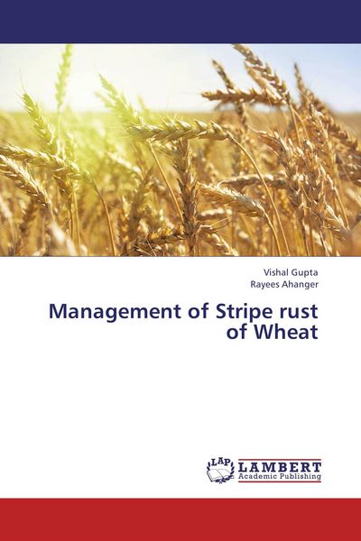 Produktbild: Management of Stripe rust of Wheat