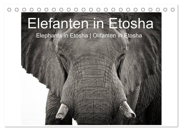 Elefanten in Etosha (Tischkalender 2026 DIN A5 quer), CALVENDO Monatskalender