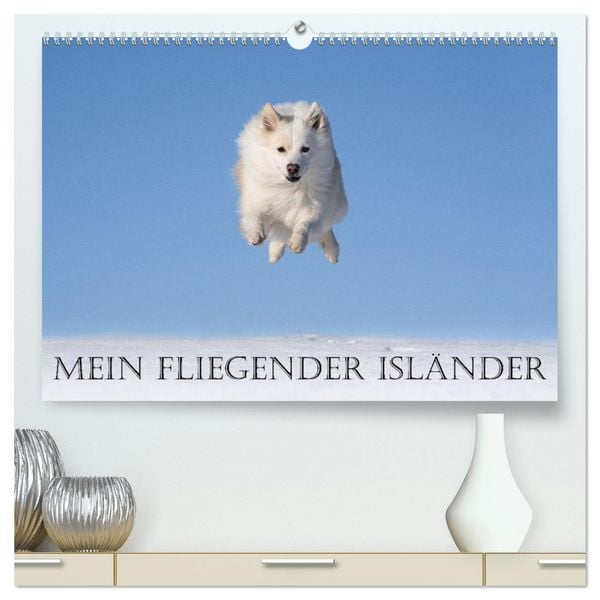 Mein fliegender Isländer (hochwertiger Premium Wandkalender 2026 DIN A2 quer), Kunstdruck in Hochglanz