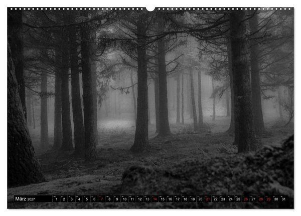 Produktbild: Stille Momente in Schwarz-Weiss (hochwertiger Premium Wandkalender 2027 DIN A2 quer), Kunstdruck in Hochglanz