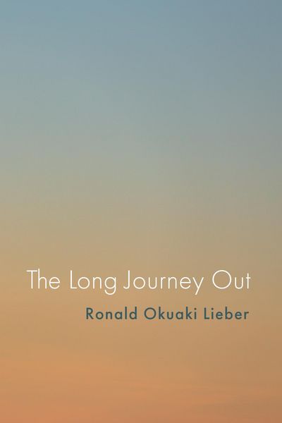 Produktbild: The Long Journey Out
