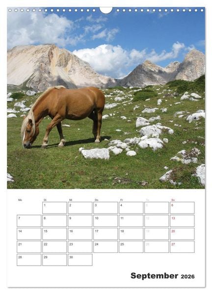 Produktbild: Alta Badia &ndash; Traumlandschaft f&uuml;r Bergsteiger und Wanderer (Wandkalender 2026 DIN A3 hoch), CALVENDO Monatskalender
