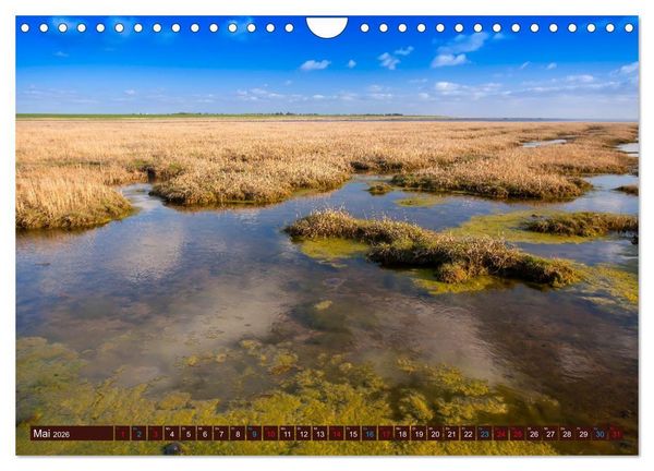 Produktbild: D&auml;nemark - J&uuml;tland & Kopenhagen, Impressionen aus dem hohen Norden (Wandkalender 2026 DIN A4 quer), CALVENDO Monatskalender