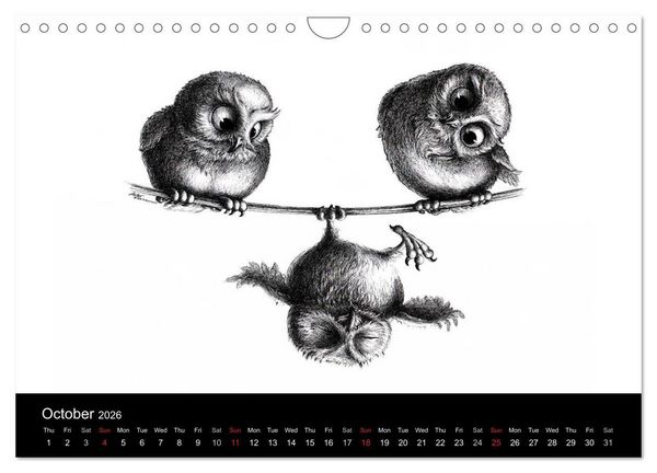 Produktbild: owls & friends 2026 (Wall Calendar 2026 DIN A4 landscape), CALVENDO 12 Month Wall Calendar