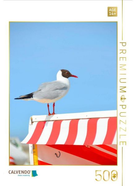 CALVENDO Puzzle Möwen | 500 Teile Lege-Größe 48 × 36 cm Foto-Puzzle für Erwachsene