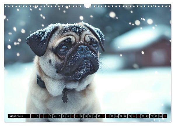 Produktbild: Kleine Helden - eine Hommage an die Mopsrasse (Wandkalender 2026 DIN A3 quer), CALVENDO Monatskalender