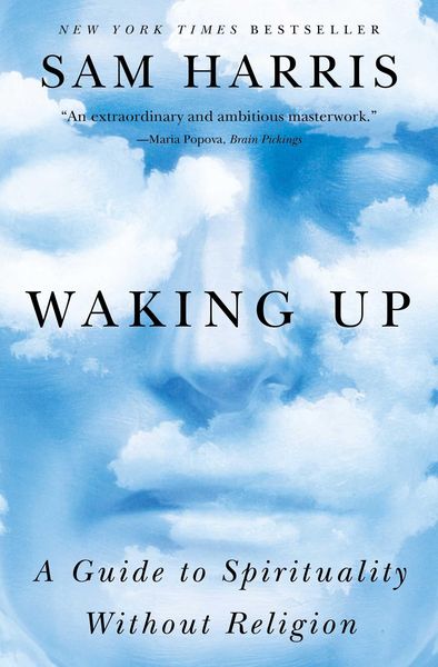 Book cover of Waking Up