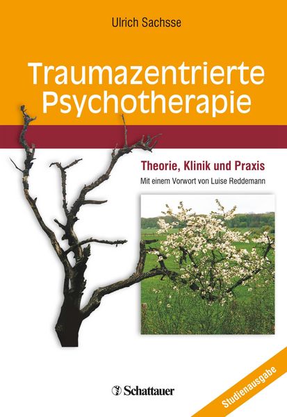 Produktbild: Traumazentrierte Psychotherapie