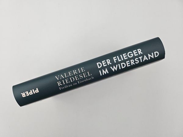 Produktbild: Der Flieger im Widerstand