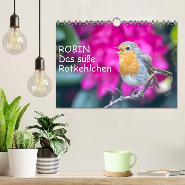 Produktbild: Robin, das s&uuml;&szlig;e Rotkehlchen (Wandkalender 2027 DIN A4 quer), CALVENDO Monatskalender