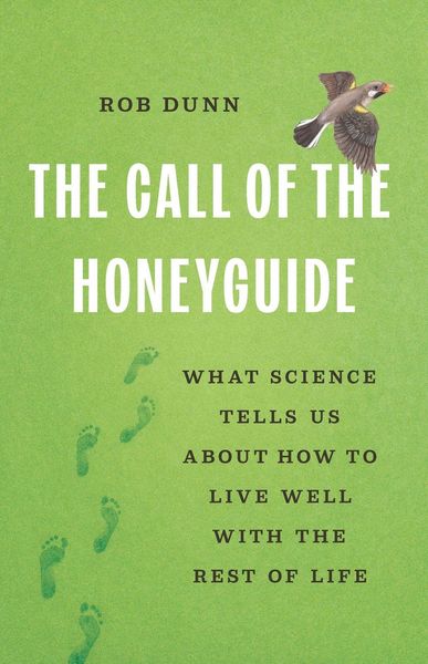 Produktbild: The Call of the Honeyguide