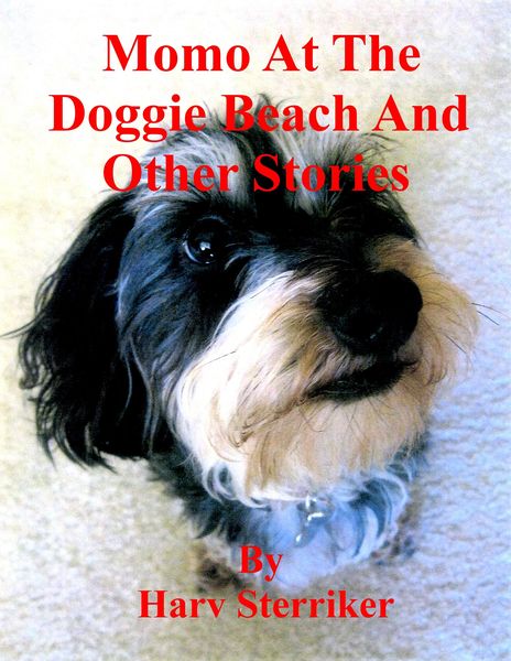 Produktbild: Momo At The Doggie Beach And Other Stories