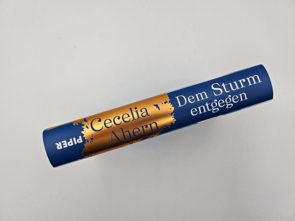 Produktbild: Dem Sturm entgegen