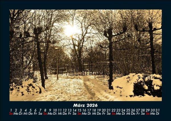 Produktbild: B&auml;ume 2026 Fotokalender DIN A5