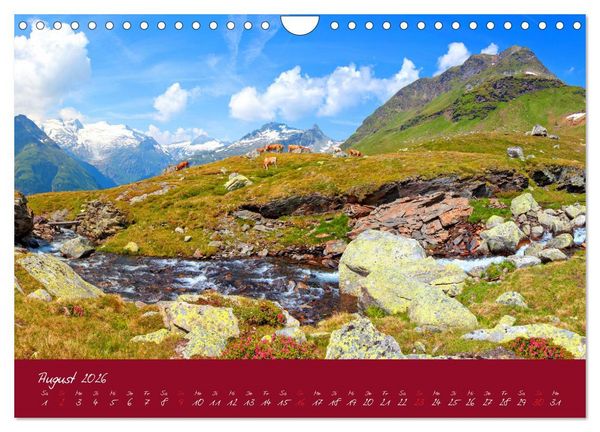 Produktbild: Friedliche K&uuml;he (Wandkalender 2026 DIN A4 quer), CALVENDO Monatskalender