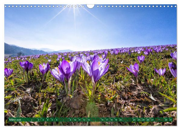Produktbild: Ober&ouml;sterreich Urlaubsregion Pyhrn-Eisenwurzen (Wandkalender 2026 DIN A3 quer), CALVENDO Monatskalender