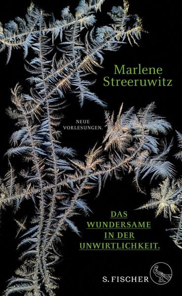 Produktbild: Das Wundersame in der Unwirtlichkeit.