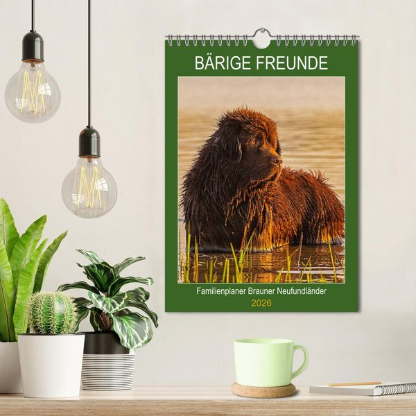 Produktbild: B&auml;rige Freunde - Familienplaner Brauner Neufundl&auml;nder (Wandkalender 2026 DIN A4 hoch), CALVENDO Monatskalender