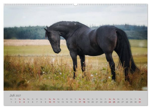 Produktbild: Pferde - Anmut, Eleganz, Magie (hochwertiger Premium Wandkalender 2027 DIN A2 quer), Kunstdruck in Hochglanz