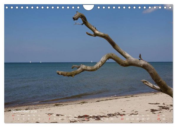 Produktbild: Anblicke und Ausblicke auf Fischland Dar&szlig; (Wandkalender 2026 DIN A4 quer), CALVENDO Monatskalender