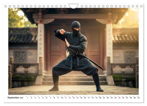 Produktbild: Martial Arts - Kampf und Eleganz (Wandkalender 2027 DIN A4 quer), CALVENDO Monatskalender