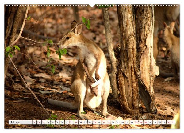 Produktbild: Australien - Northern Territory (hochwertiger Premium Wandkalender 2026 DIN A2 quer), Kunstdruck in Hochglanz
