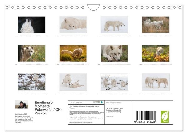 Produktbild: Emotionale Momente: Polarw&ouml;lfe. / CH-Version (Wandkalender 2026 DIN A4 quer), CALVENDO Monatskalender