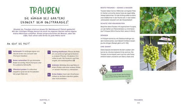 Produktbild: In Null Komma Gr&uuml;n &ndash;&nbsp;Einfach g&auml;rtnern mit Raphy von gruenesparadies