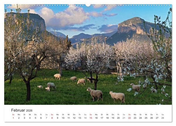 Produktbild: Mallorca - auf in den Urlaub (Wandkalender 2026 DIN A2 quer), CALVENDO Monatskalender