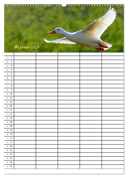 Produktbild: Bauernhoftiere Familienplaner (Wandkalender 2026 DIN A2 hoch), CALVENDO Monatskalender