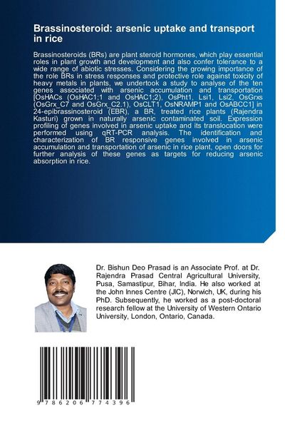Produktbild: Brassinosteroid: arsenic uptake and transport in rice