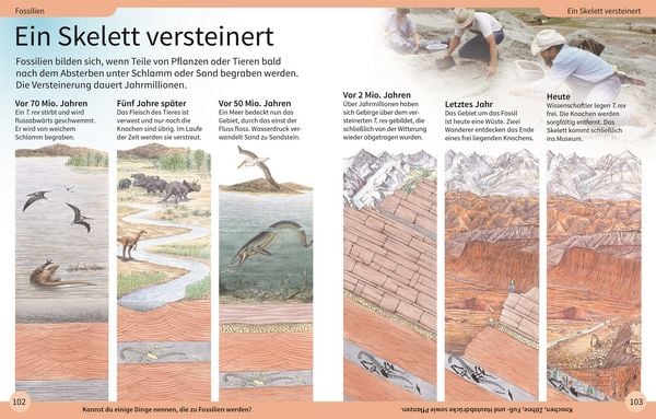Produktbild: DK Kinderlexikon. Dinosaurier