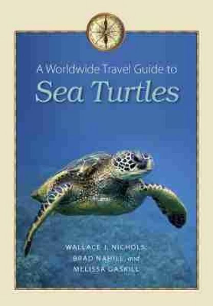 Produktbild: A Worldwide Travel Guide to Sea Turtles