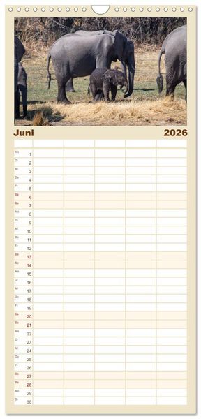 Produktbild: Familienplaner 2026 - begegnungen - elefanten im s&uuml;dlichen afrika mit 5 Spalten (Wandkalender, 21 x 45 cm) CALVENDO