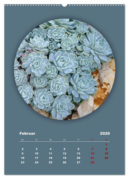 Produktbild: Rundherum Natur (hochwertiger Premium Wandkalender 2026 DIN A2 hoch), Kunstdruck in Hochglanz