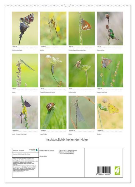 Produktbild: Insekten,Sch&ouml;nheiten der Natur (hochwertiger Premium Wandkalender 2026 DIN A2 hoch), Kunstdruck in Hochglanz