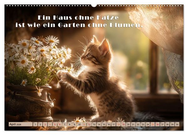 Produktbild: Miau-velous Pfotenpoesie (hochwertiger Premium Wandkalender 2026 DIN A2 quer), Kunstdruck in Hochglanz