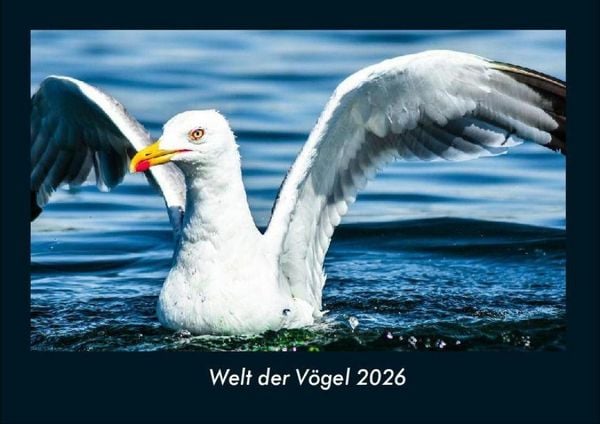 Welt der Vögel 2026 Fotokalender DIN A4