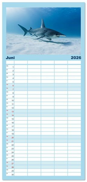 Produktbild: Familienplaner 2026 - Haie - Vorsicht gef&auml;hrlich! mit 5 Spalten (Wandkalender, 21 x 45 cm) CALVENDO