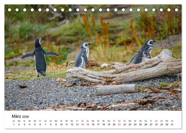 Produktbild: Patagonien, Tierra del Fuego: Am Rand der Welt (Tischkalender 2026 DIN A5 quer), CALVENDO Monatskalender