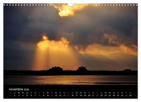 Produktbild: Camargue Entre mer et nature (Calendrier mural 2026 DIN A3 vertical), CALVENDO calendrier mensuel