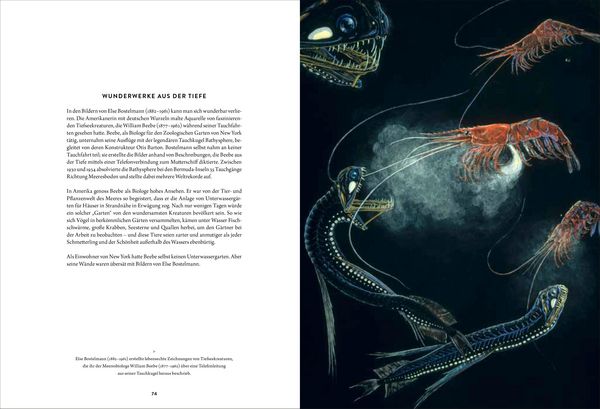 Produktbild: Wunderkammer