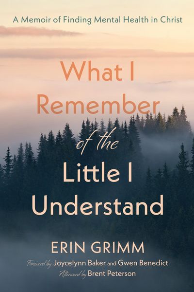 Produktbild: What I Remember of the Little I Understand