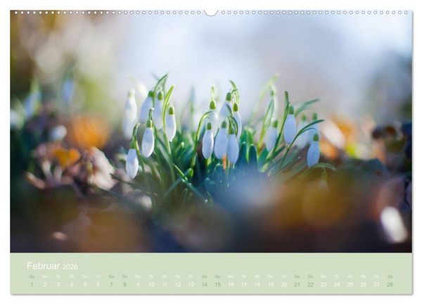 Produktbild: Zeitenwandel - Ein Jahr in der Natur (hochwertiger Premium Wandkalender 2026 DIN A2 quer), Kunstdruck in Hochglanz