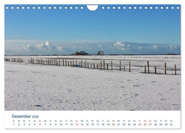 Produktbild: Nordseek&uuml;ste Am Strand von Sankt Peter-Ording (Wandkalender 2026 DIN A4 quer), CALVENDO Monatskalender