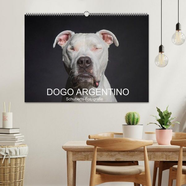 Produktbild: DOGO ARGENTINO (Wandkalender 2026 DIN A2 quer), CALVENDO Monatskalender
