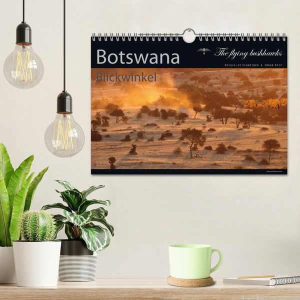 Produktbild: Botswana Blickwinkel 2026 (Wandkalender 2026 DIN A4 quer), CALVENDO Monatskalender